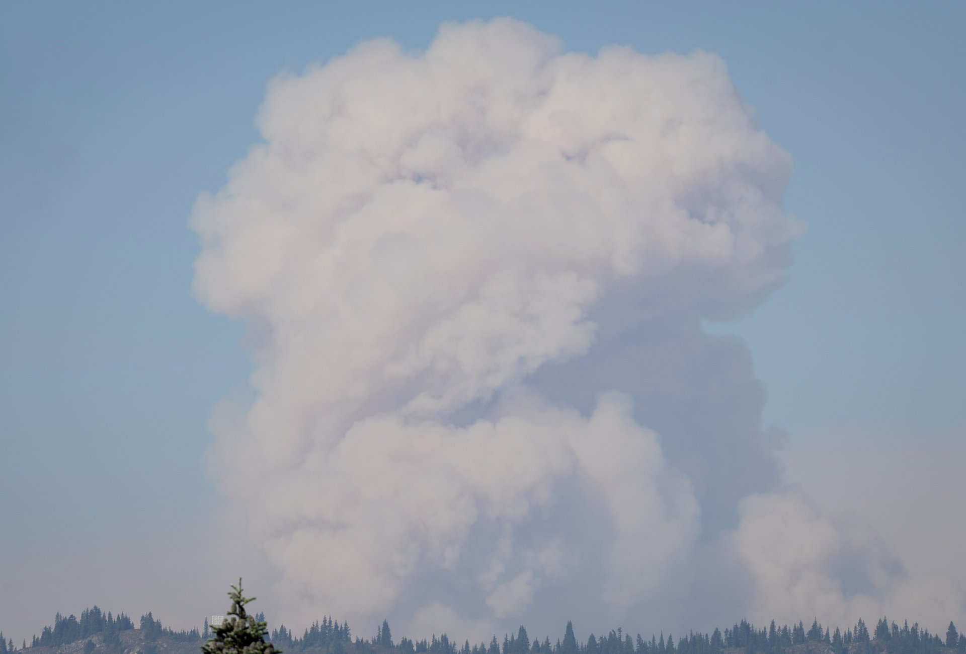 Bolt Creek Fire