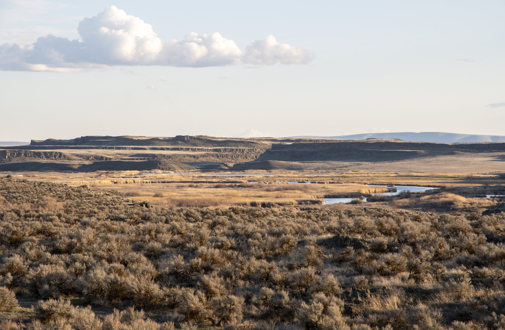Columbia National Wildlife Refuge