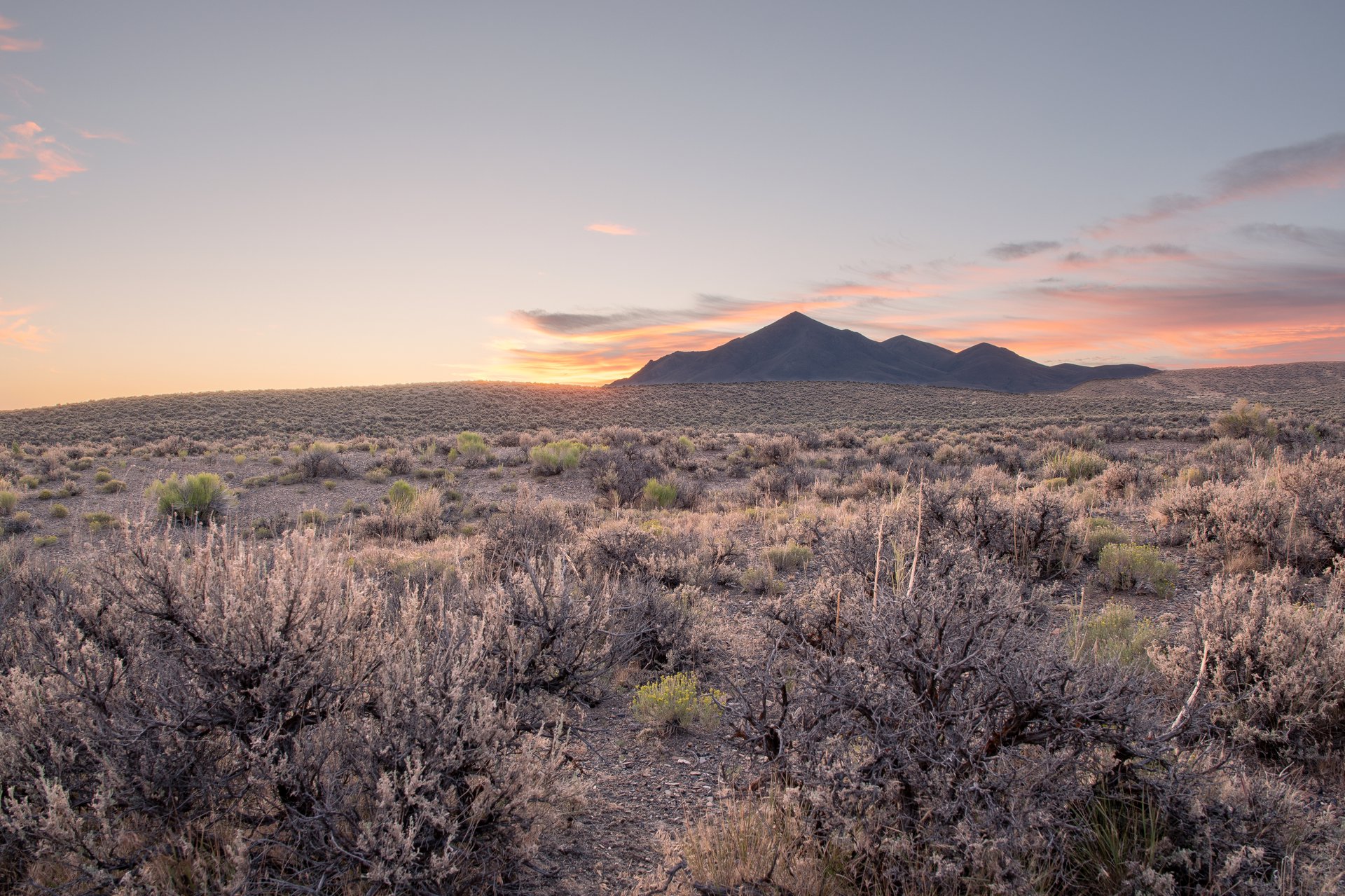 Elko County desert