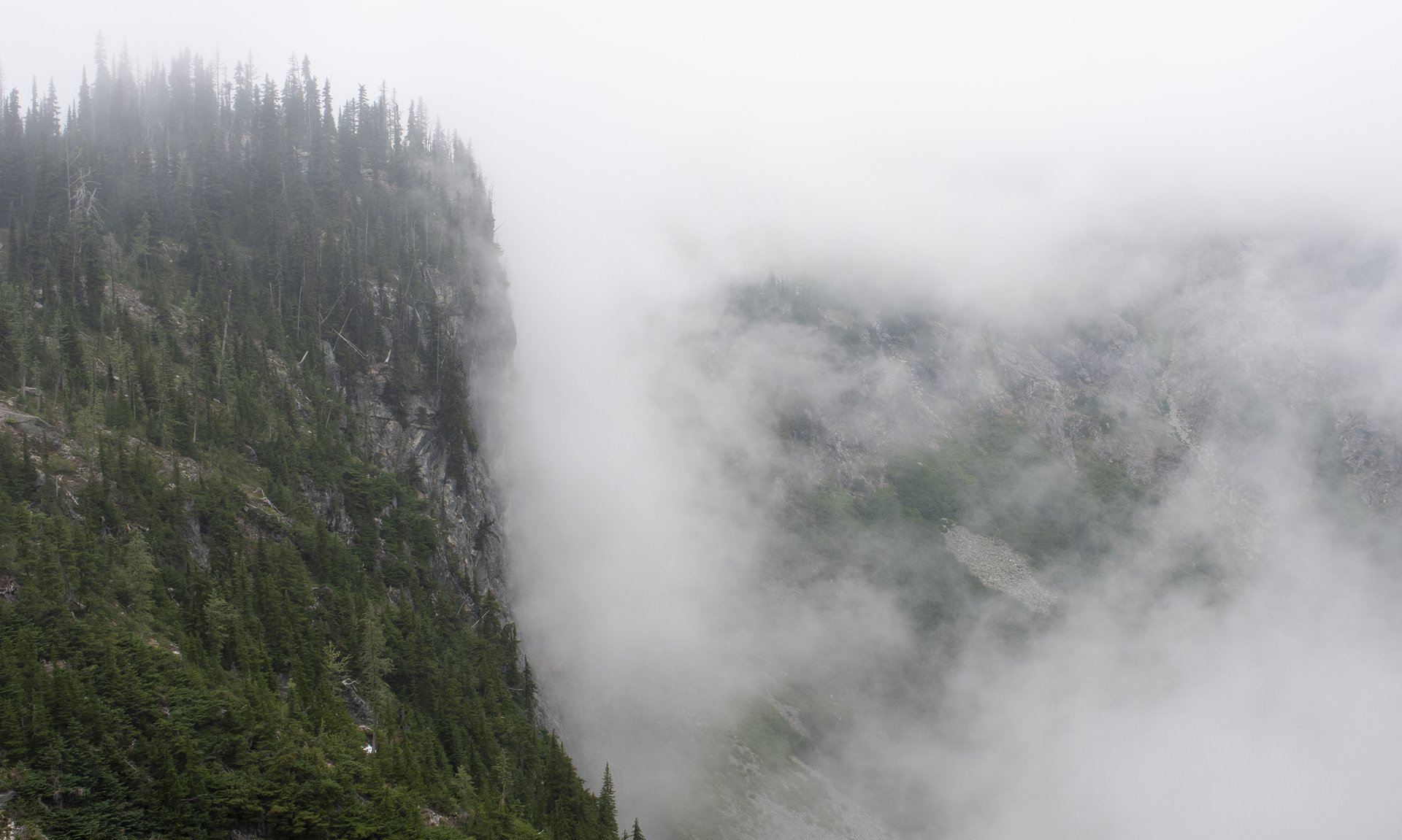 Foggy Cascades