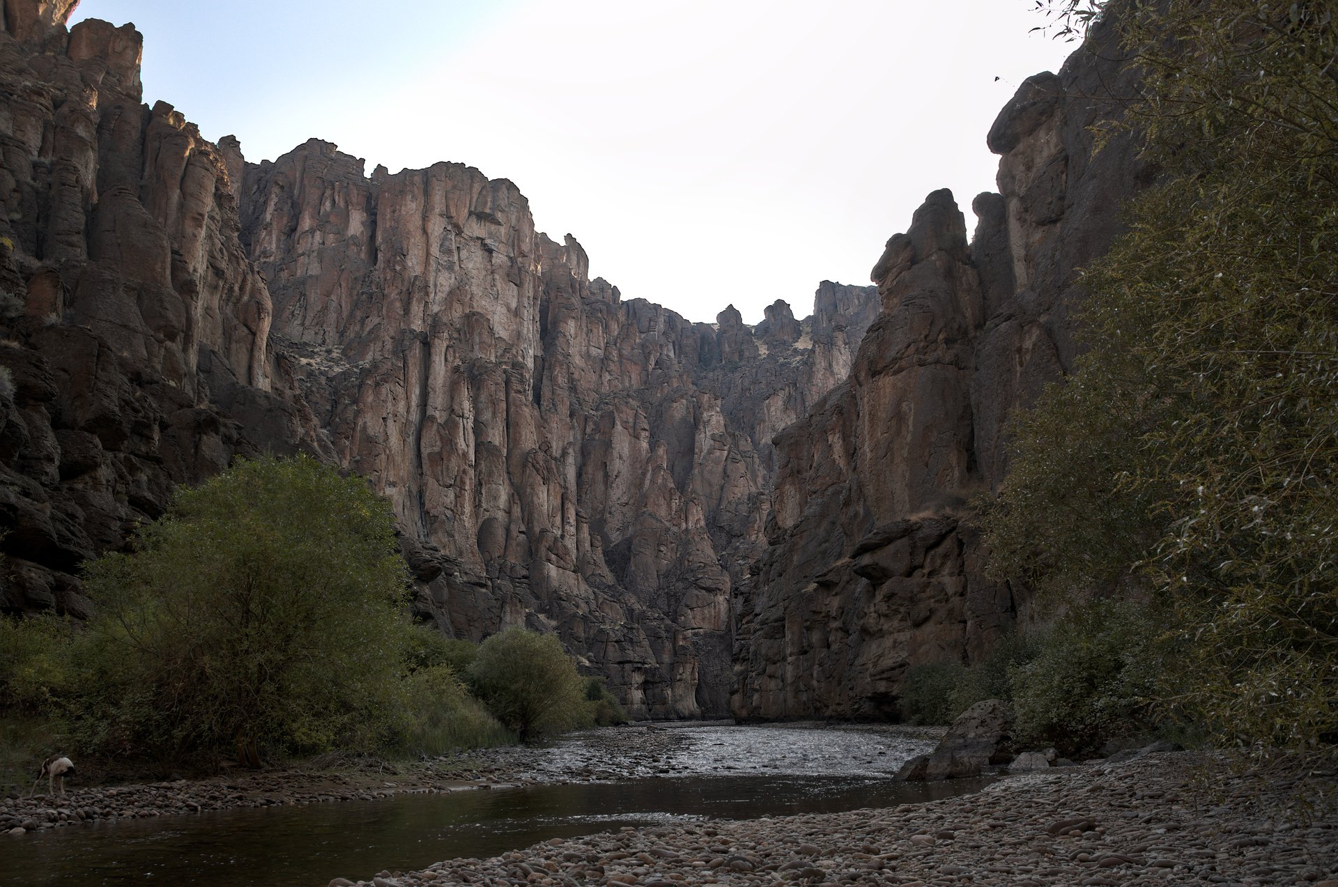 Jarbidge River