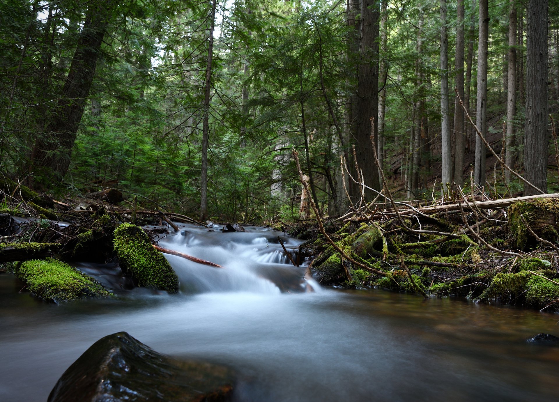 Lodge Creek