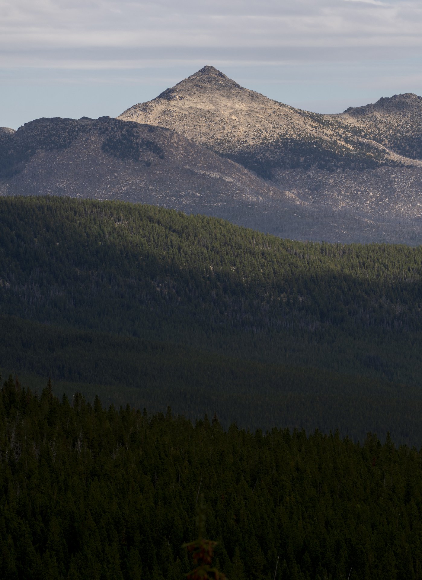 Pasayten Wilderness