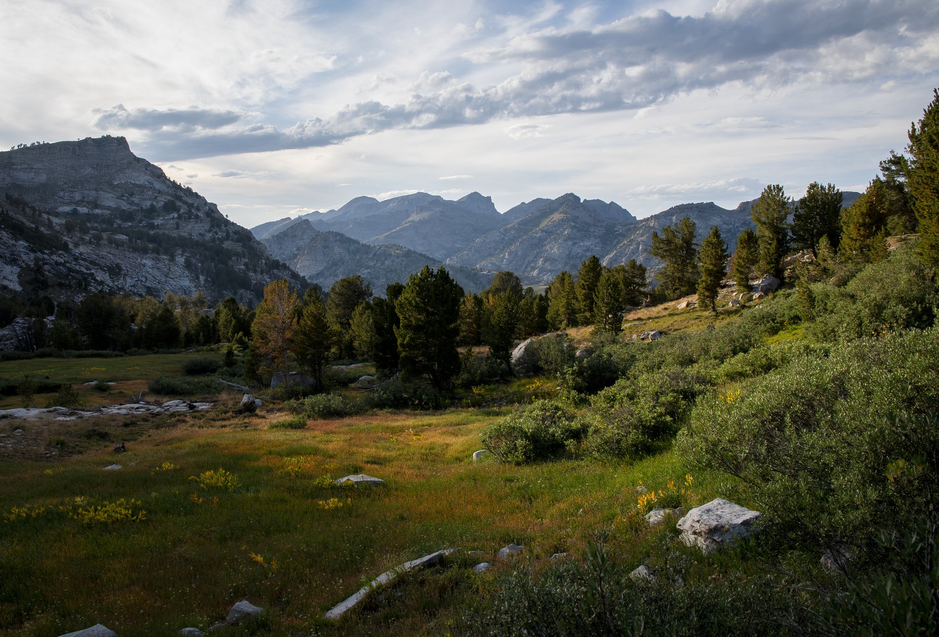 Ruby Mountains Wilderness