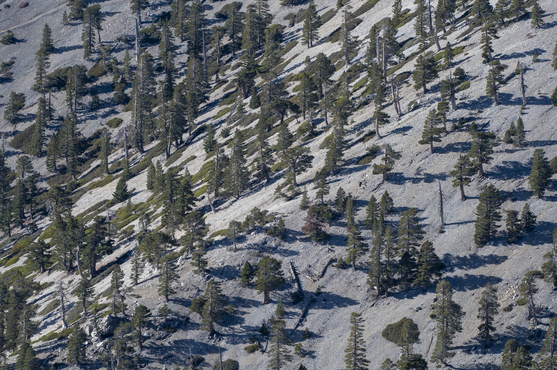 San Bernardino Mountains