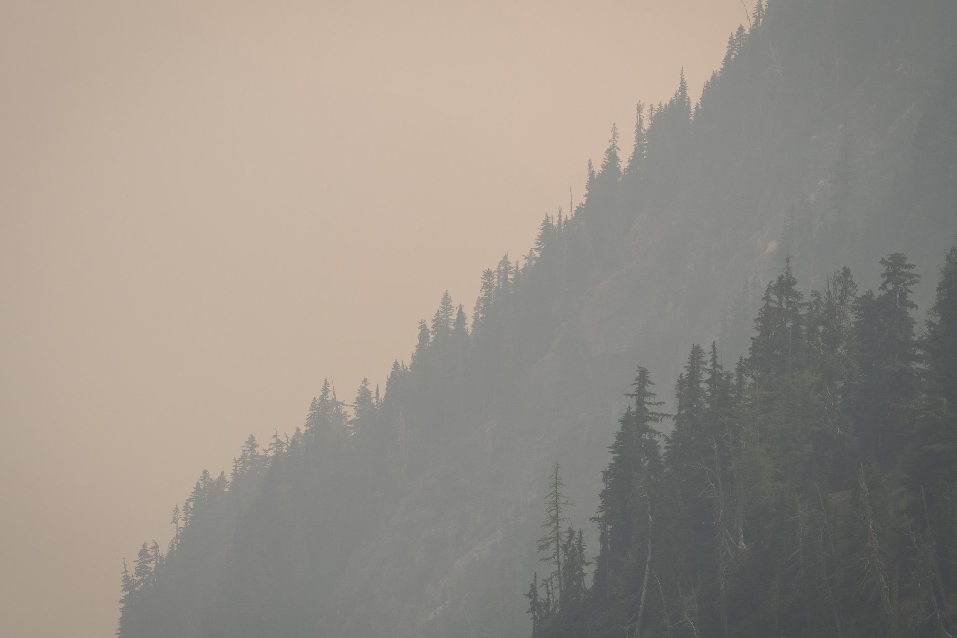 Smoky Cascades
