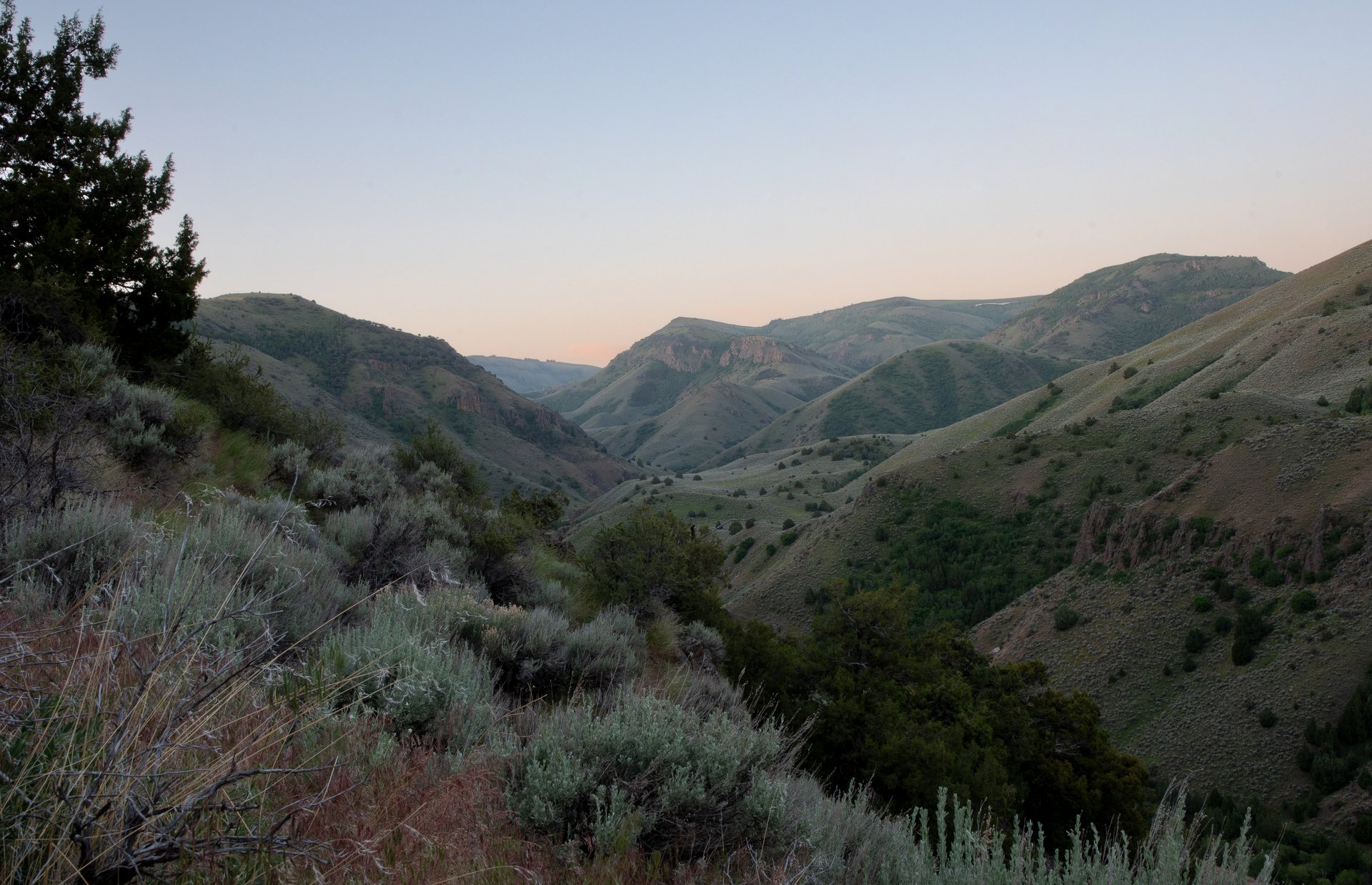 South Hills, Sawtooth National Forest, Idaho