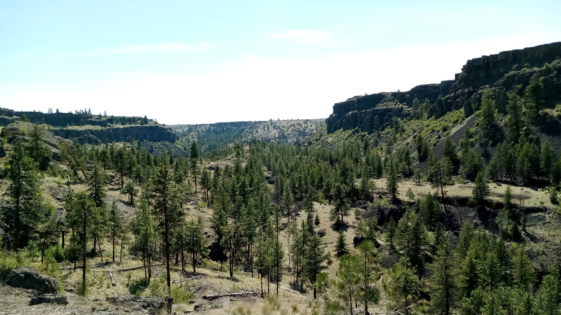 Northrup Canyon