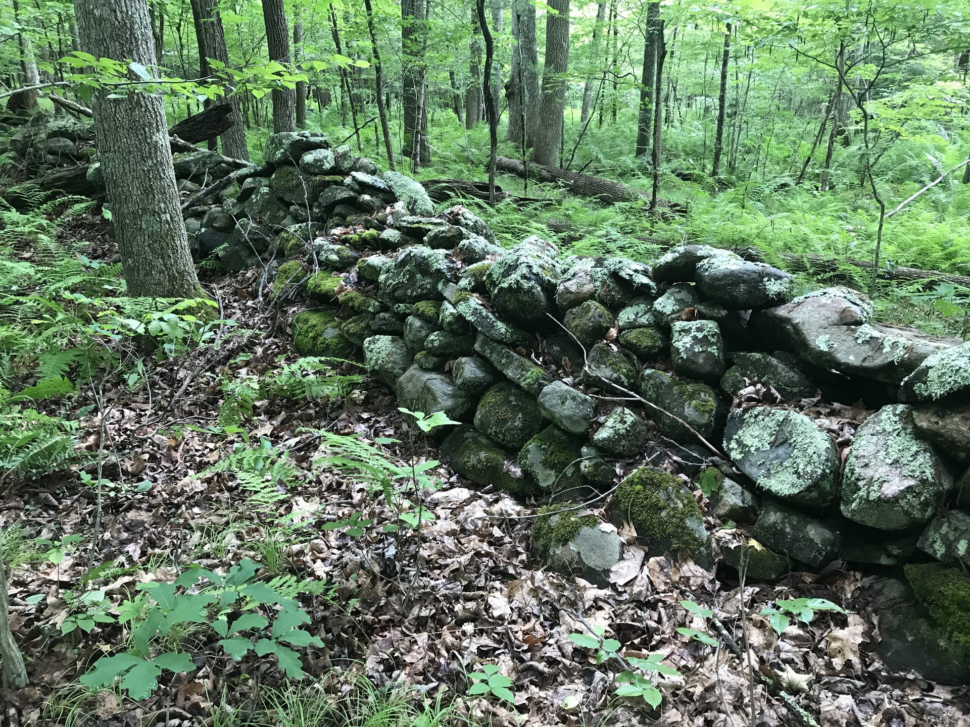 New England