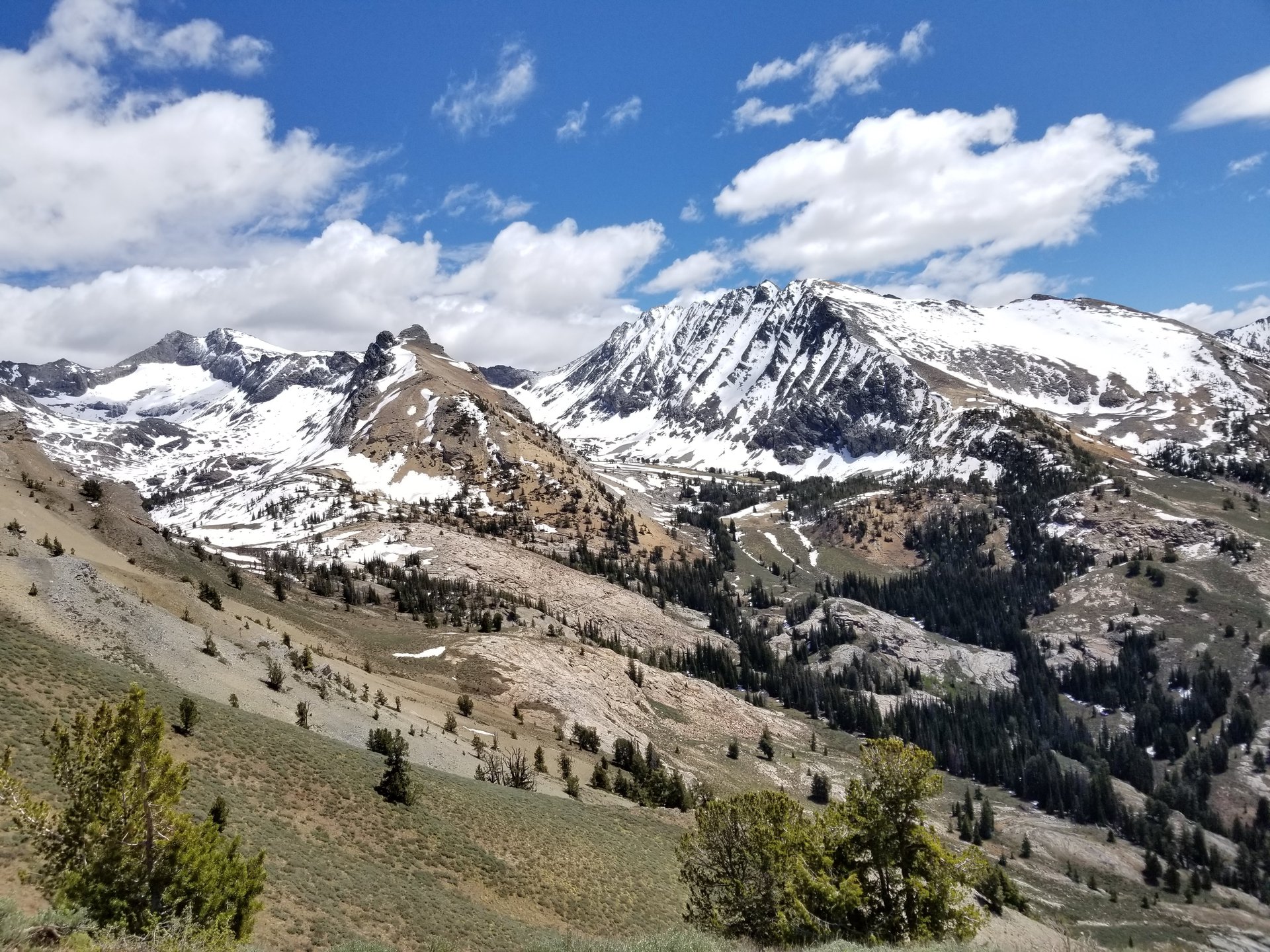 Pioneer Mountains