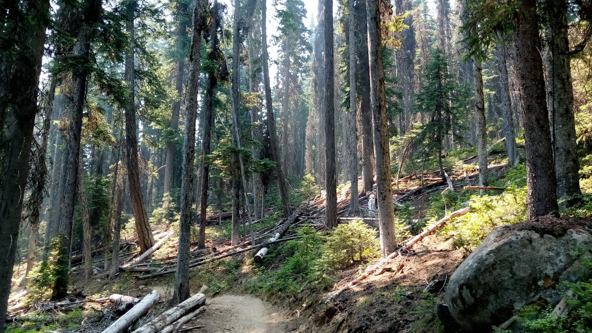 Lake Chelan-Sawtooth Wilderness