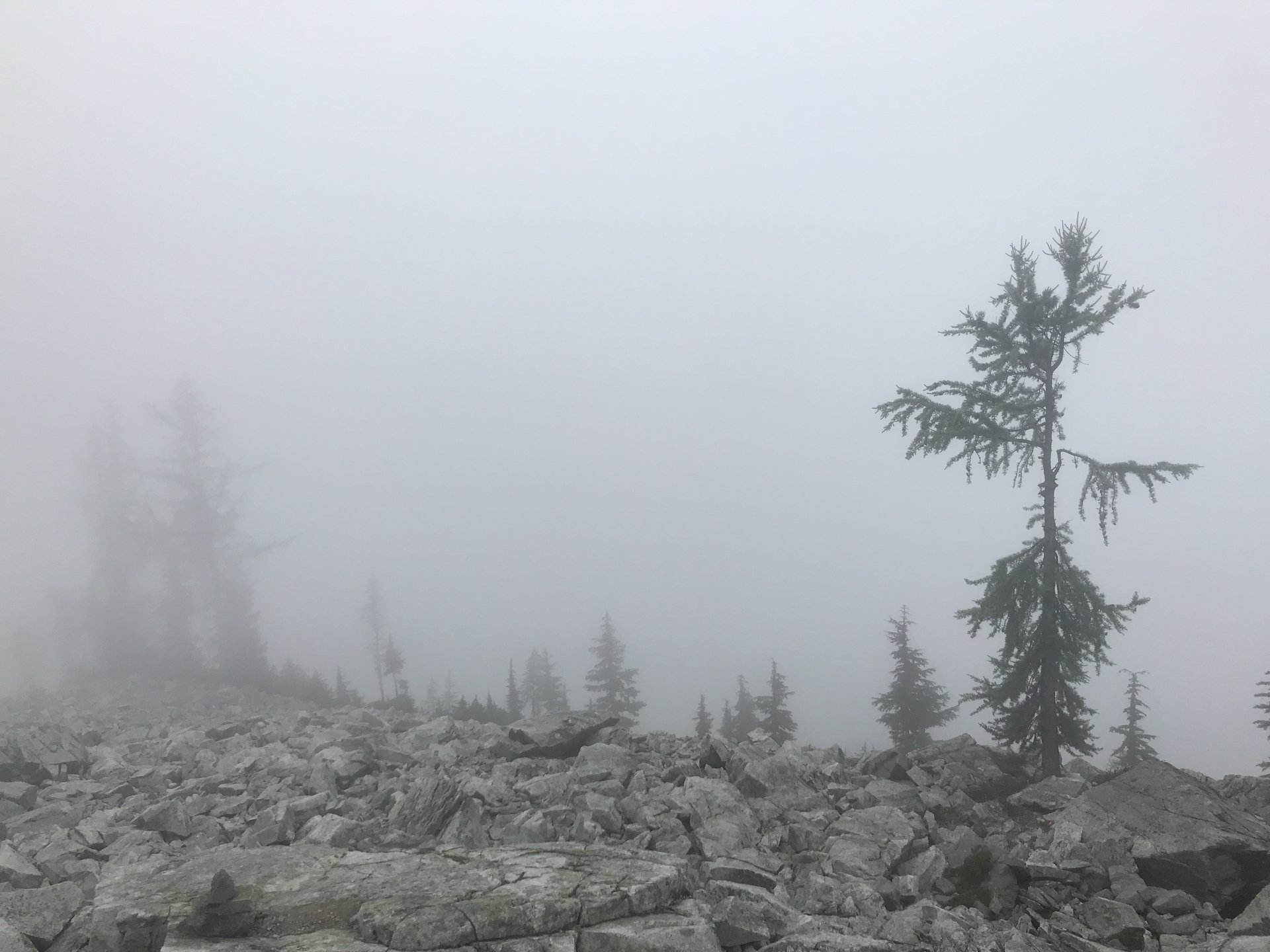 Okanogan-Wenatchee National Forest (<em>Maple Pass</em>)