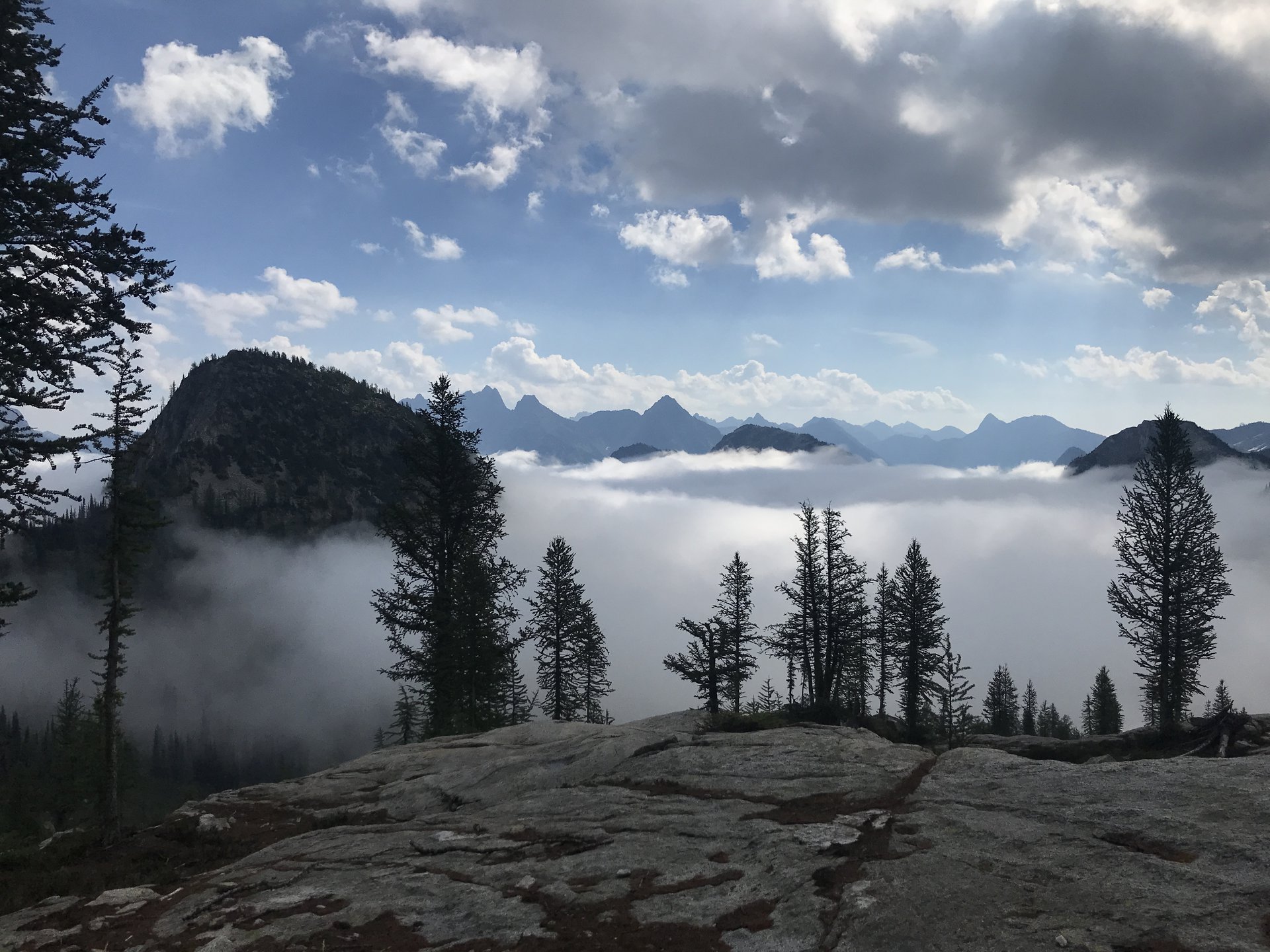 Okanogan-Wenatchee National Forest (<em>Maple Pass</em>)
