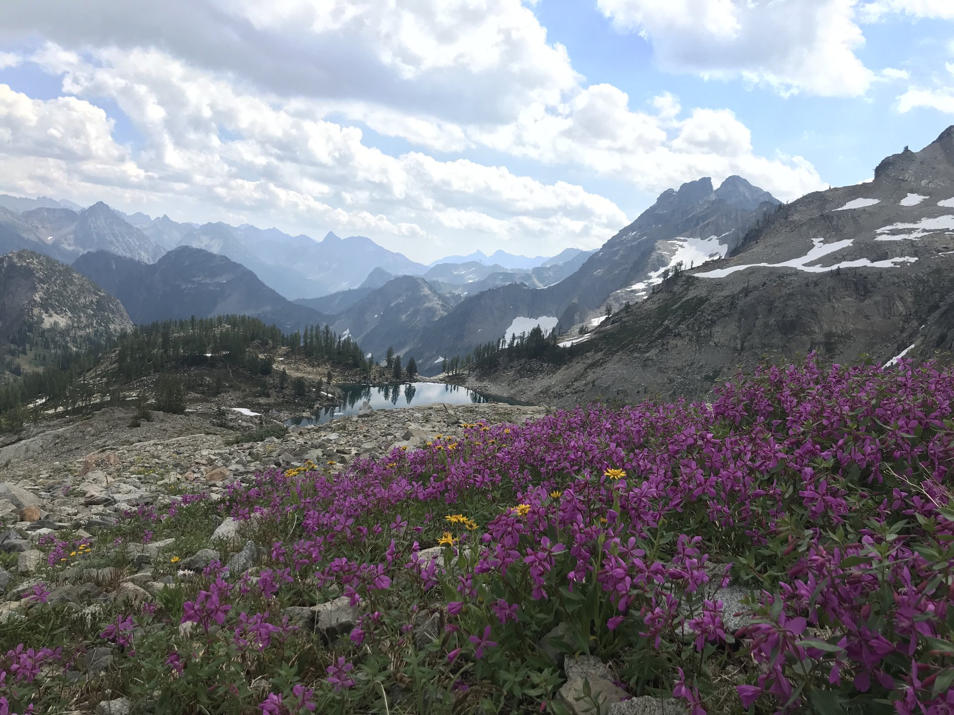 Okanogan-Wenatchee National Forest (<em>Maple Pass</em>)