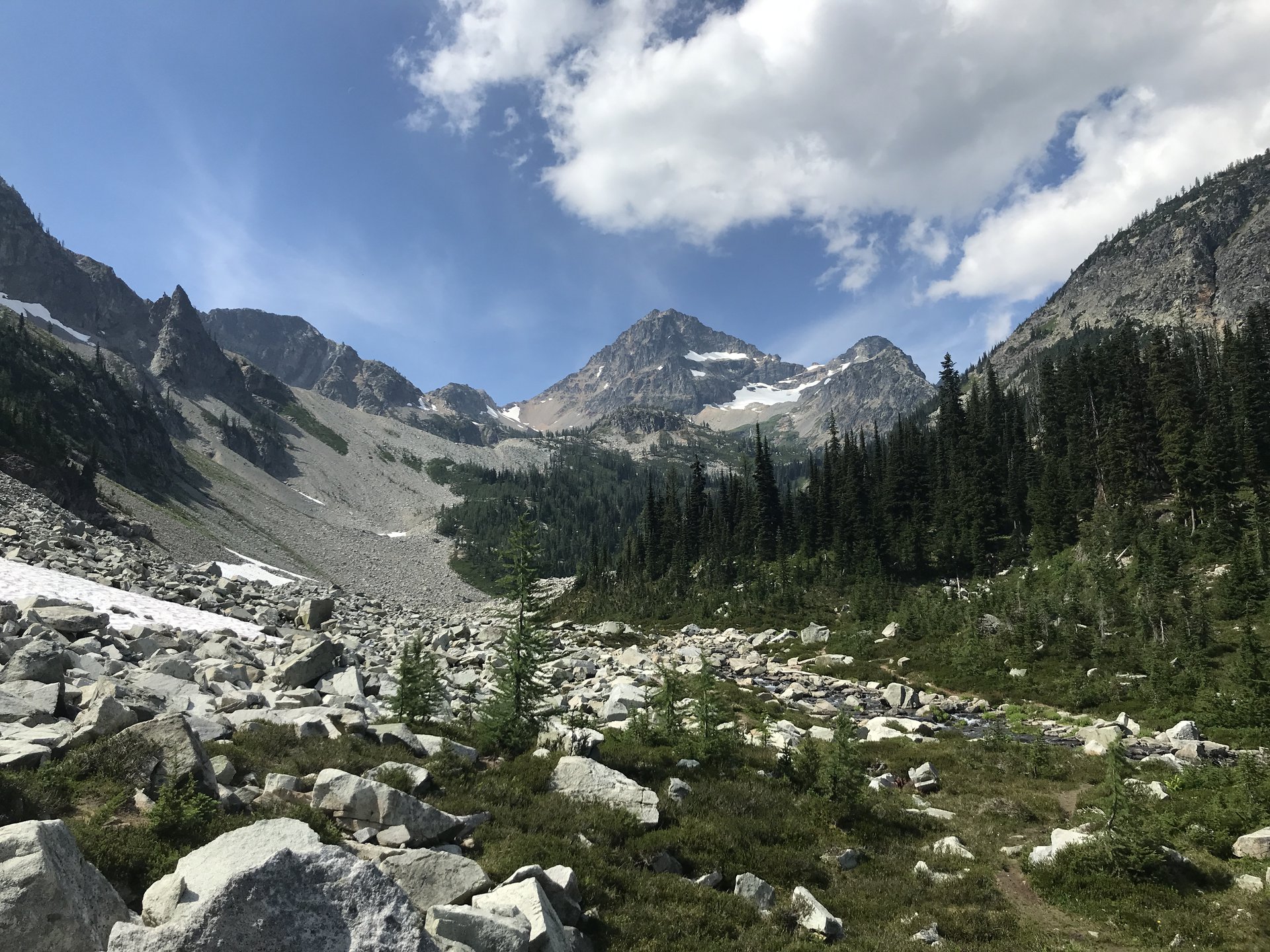 Okanogan-Wenatchee National Forest (<em>Maple Pass</em>)