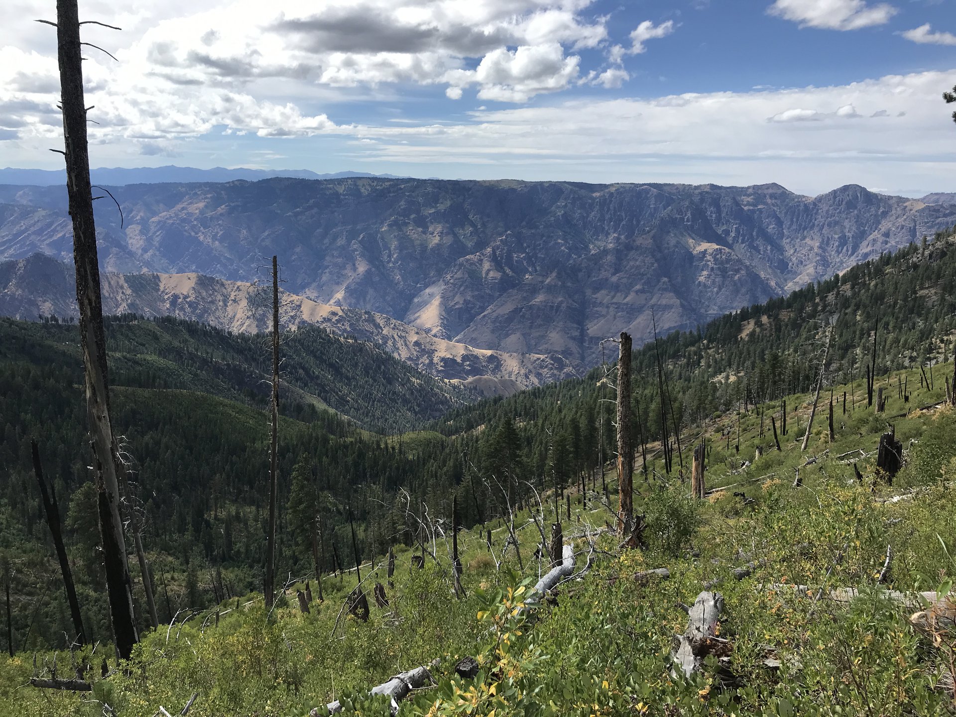 Seven Devils Mountains, Hells Canyon Wilderness