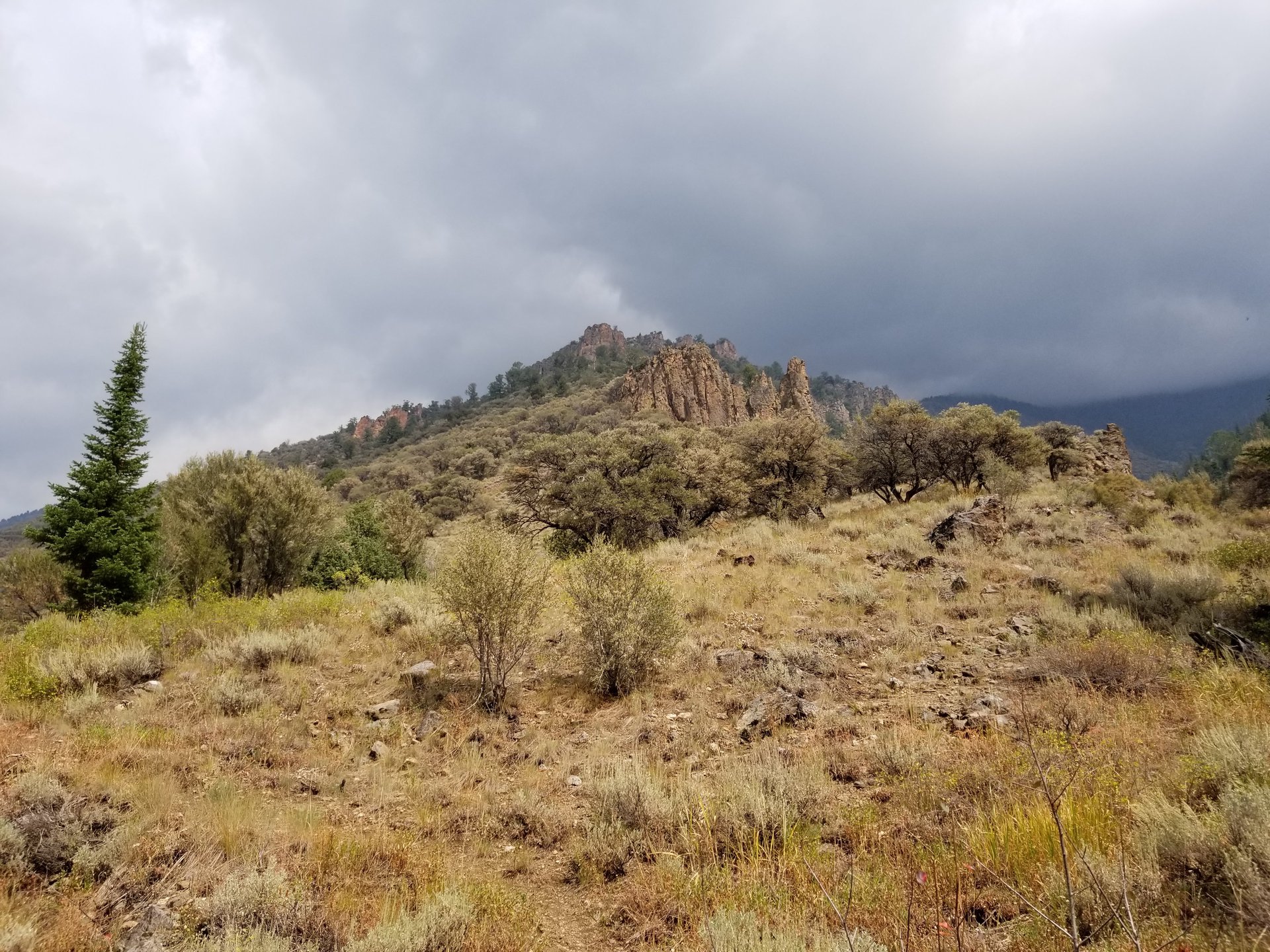 Jarbidge Wilderness