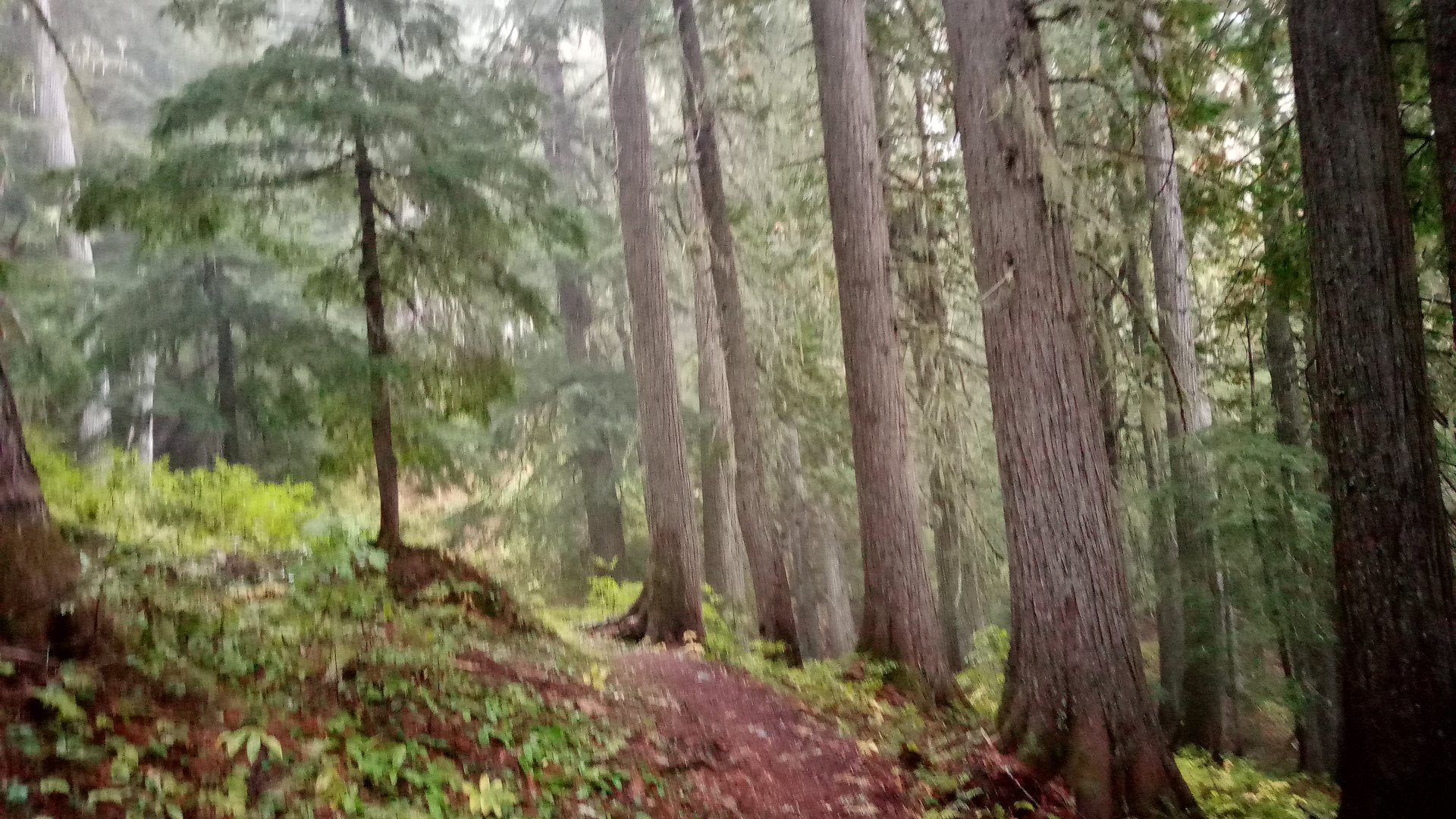 Salmo-Priest Wilderness