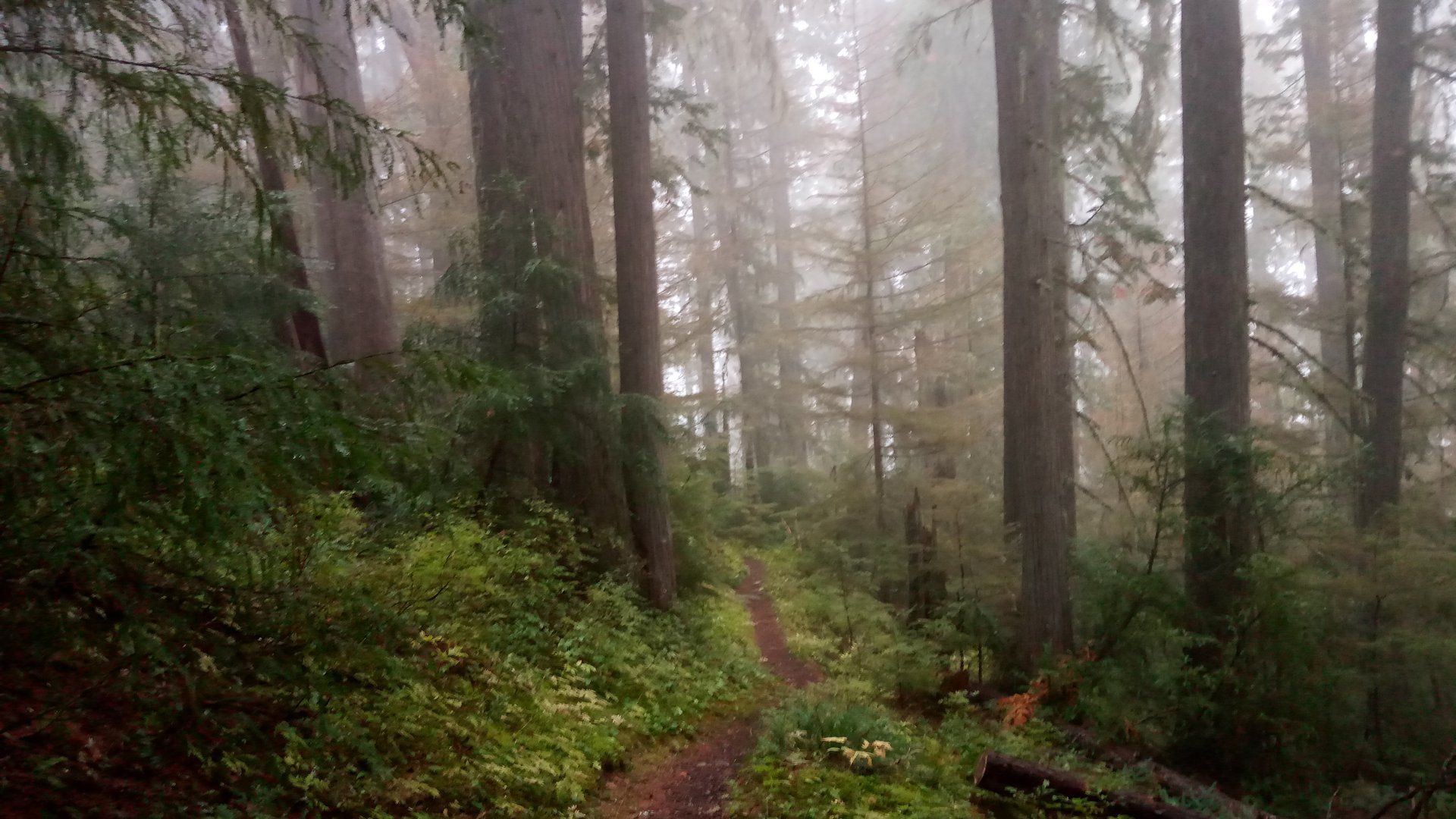 Salmo-Priest Wilderness