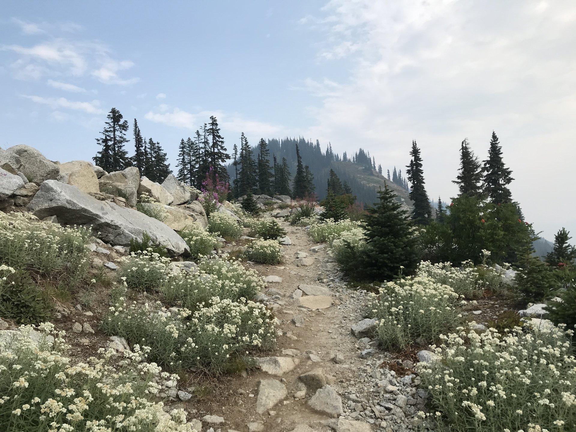 Okanogan-Wenatchee National Forest