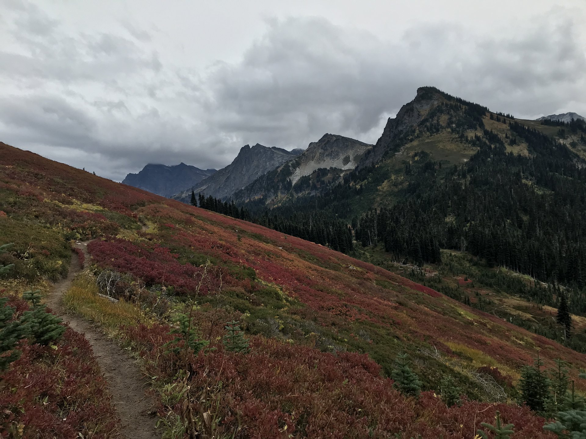Okanogan-Wenatchee National Forest
