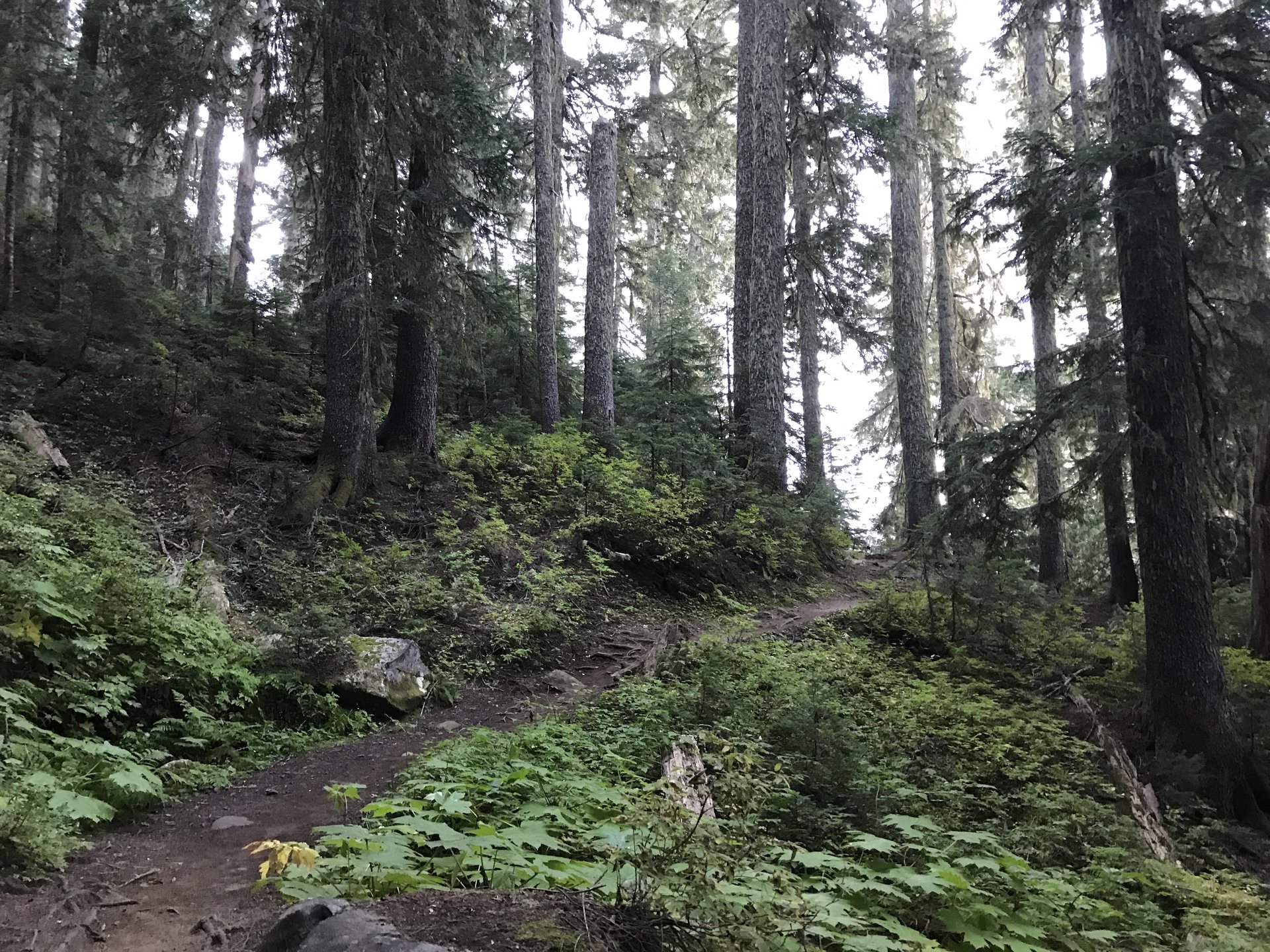 North Cascades National Park
