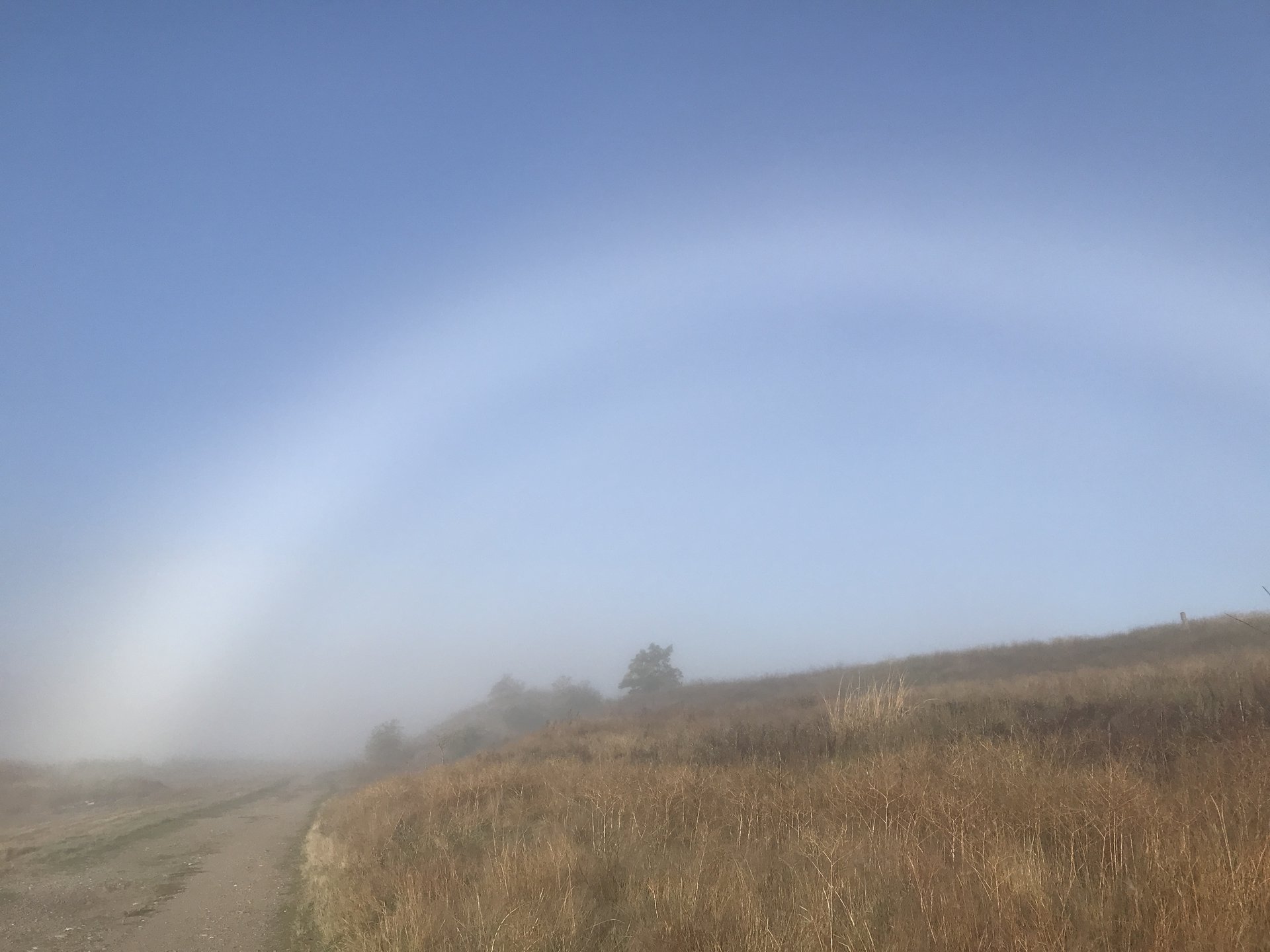 Fogbow, Spokane County