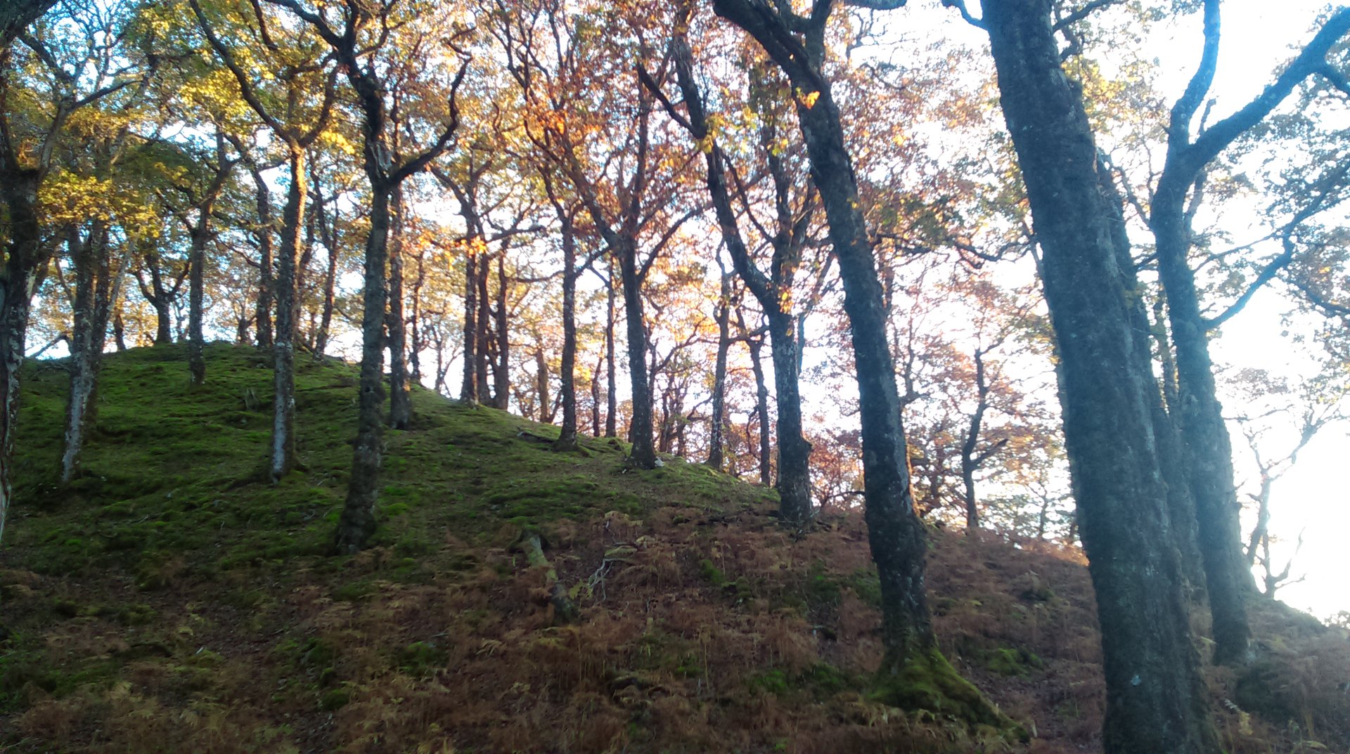 Ireland