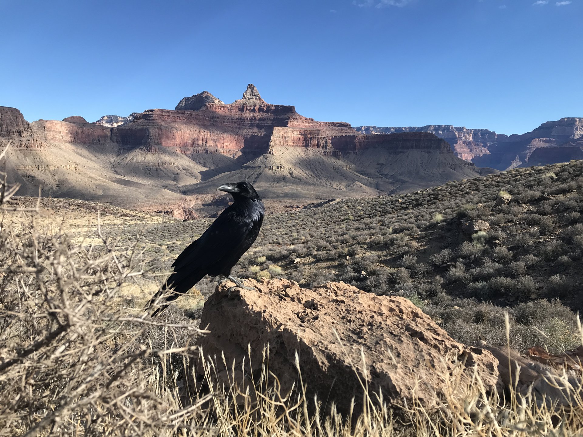Grand Canyon