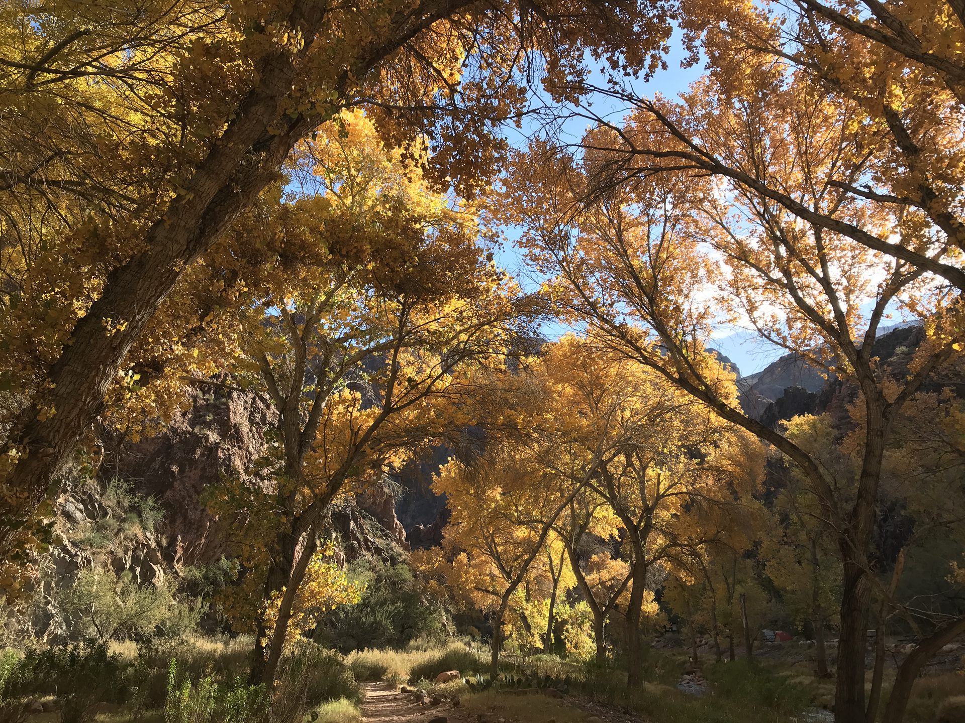Grand Canyon