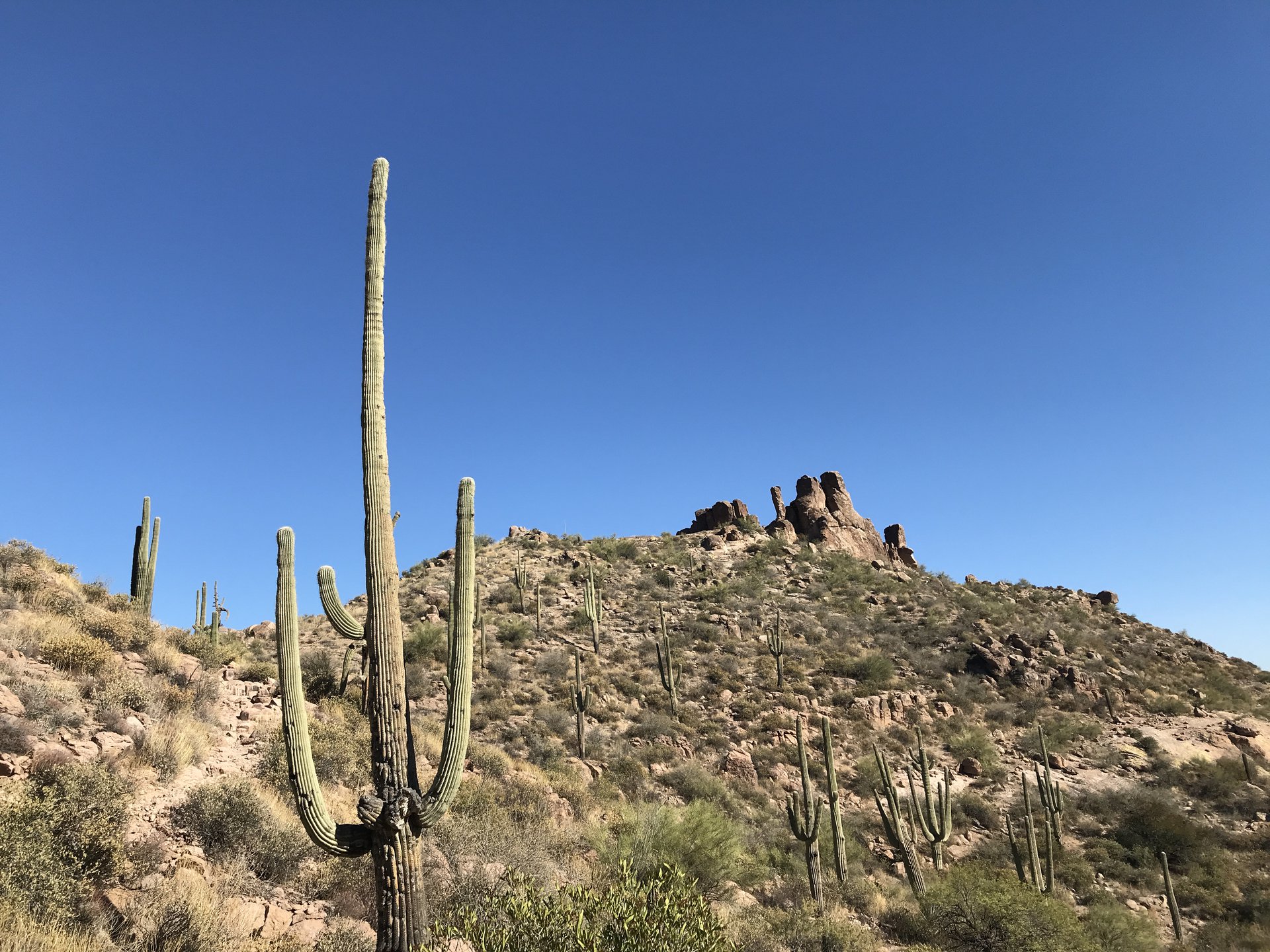 Superstition Mountains, Arizona
